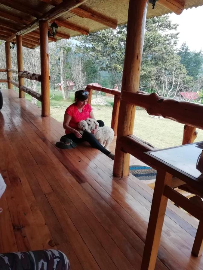 Hassinger Ranch Cabanas Oxapampa Dış mekan fotoğraf